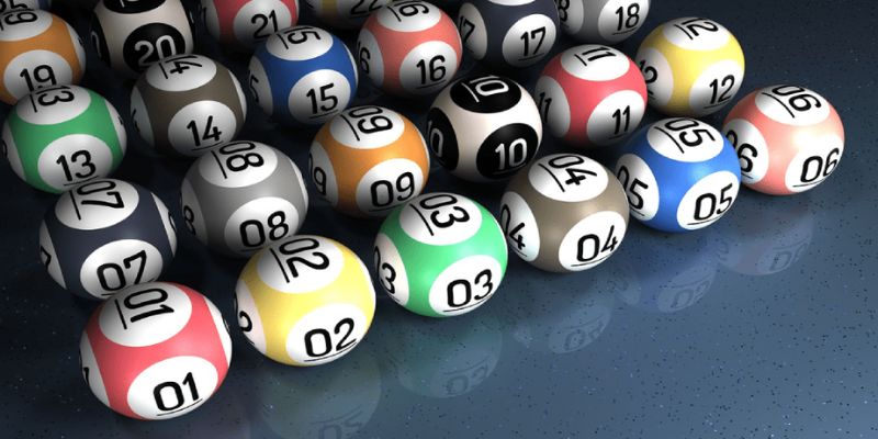 Khái niệm bạch thủ lô là gì? Khái niệm bạch thủ lô là gì?